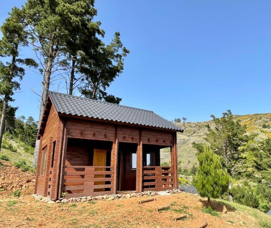 Mountain Eco Shelter 5 Hotell Funchal  Exteriör bild